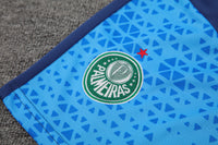 Kit Oficial do Palmeiras 24/25 - Treino