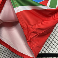 Camisa Oficial Juventus 2005/2006