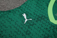 Kit Oficial do Palmeiras 24/25 - Treino