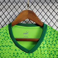 Camisa Oficial do Palmeiras 24/25 Versão Torcedor - Treino