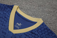 Kit Oficial do Palmeiras 24/25 - Treino