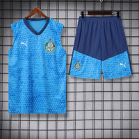 Kit Oficial do Palmeiras 24/25 - Treino