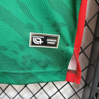 Camisa Oficial do Camarões 25/26 - Versão Torcedor