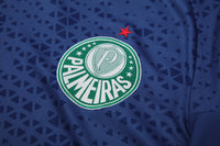 Kit Oficial do Palmeiras 24/25 - Treino
