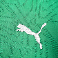 Camisa Oficial do Palmeiras 25/26 - Treino