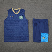 Kit Oficial do Palmeiras 24/25 - Treino