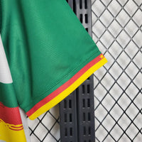 Camisa Oficial do Camarões 25/26 - Versão Torcedor