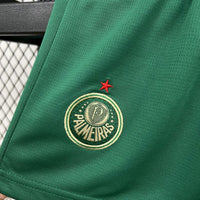 Conjunto Infantil Oficial do Palmeiras 24/25 - Kids