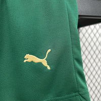 Conjunto Infantil Oficial do Palmeiras 24/25 - Kids