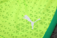 Kit Ofiical do Palmeiras 24/25 - Treino