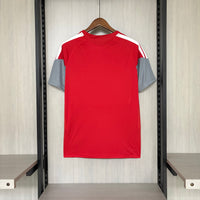 Camisa Oficial do Internacional 26/27 Versão Torcedor - Treino