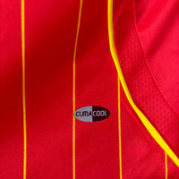 Camisa Retrô da Espanha 2006