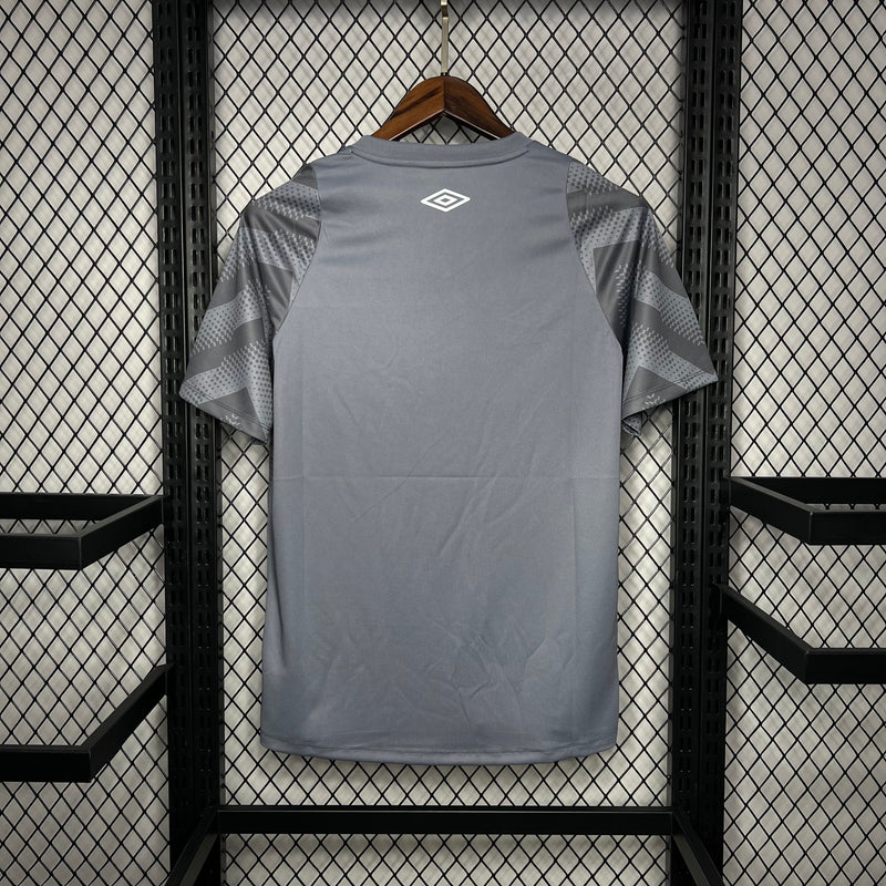 Camisa Oficial do Santos 24/25 Versão Torcedor - Pré Jogo