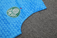 Kit Oficial do Palmeiras 24/25 - Treino