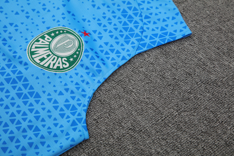 Kit Oficial do Palmeiras 24/25 - Treino