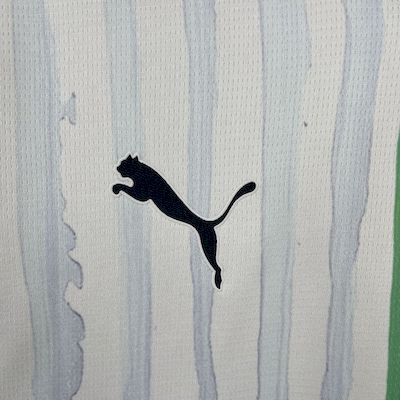 Camisa Oficial do Monterrey 25/26 - Versão Torcedor
