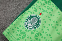 Kit Oficial do Palmeiras 24/25 - Treino