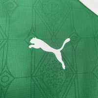 Camisa Oficial do Palmeiras 25/26 - Versão Torcedor