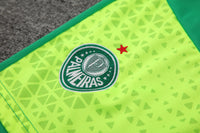 Kit Ofiical do Palmeiras 24/25 - Treino