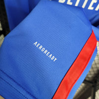 Camisa 2 Oficial do Lyon 23/24 - Versão Torcedor