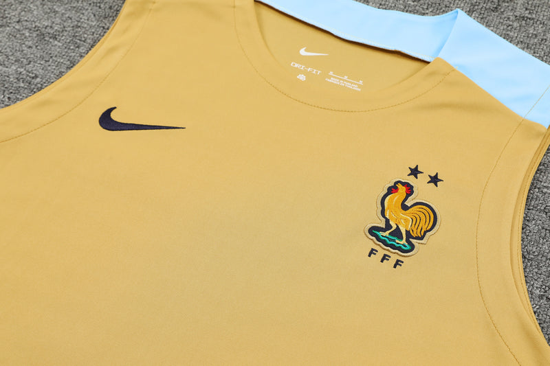 Kit Oficial da França 24/25 - Treino