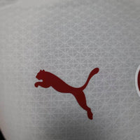 Camisa Oficial do Galatasaray 25/26 - Versão Jogador