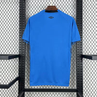 Camisa Oficial do Santos 25/26 Versão Torcedor - Goleiro